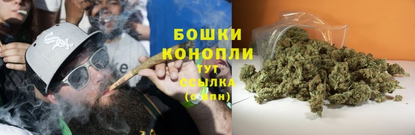 хмурый Арсеньев