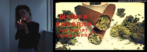 PSILOCYBIN Армянск