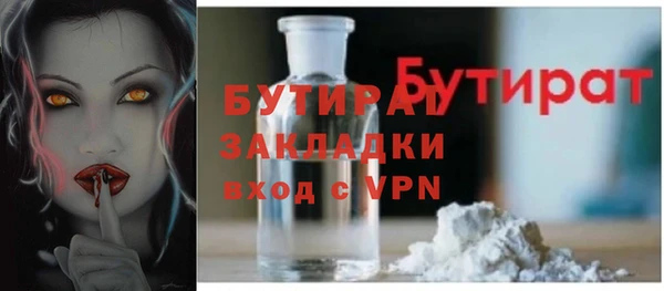 хмурый Арсеньев