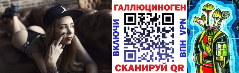 где купить наркоту  Петухово  Псилоцибиновые грибы Cubensis 